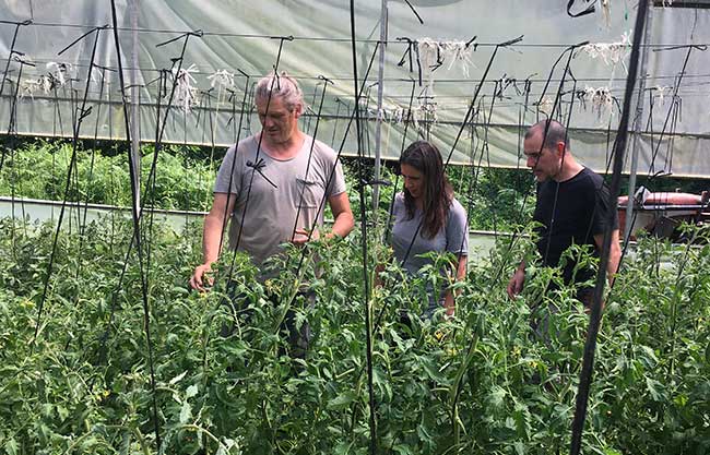 Programa Cultiva - Estancia 190.3 - Zeberio