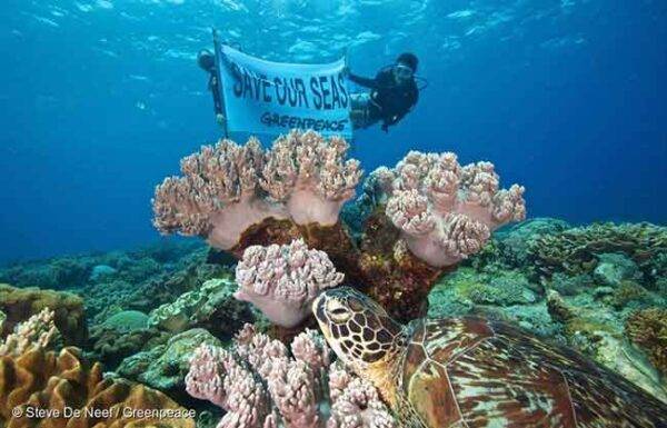 Greenpeace - Salvar nuestros oceanos