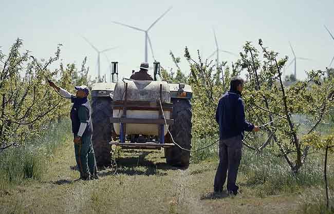 Vídeo "Revivir el campo"