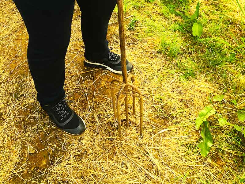 Herramientas para el huerto ecológico