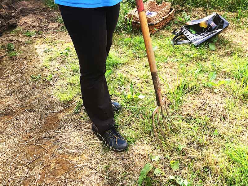 Herramientas para el huerto ecológico