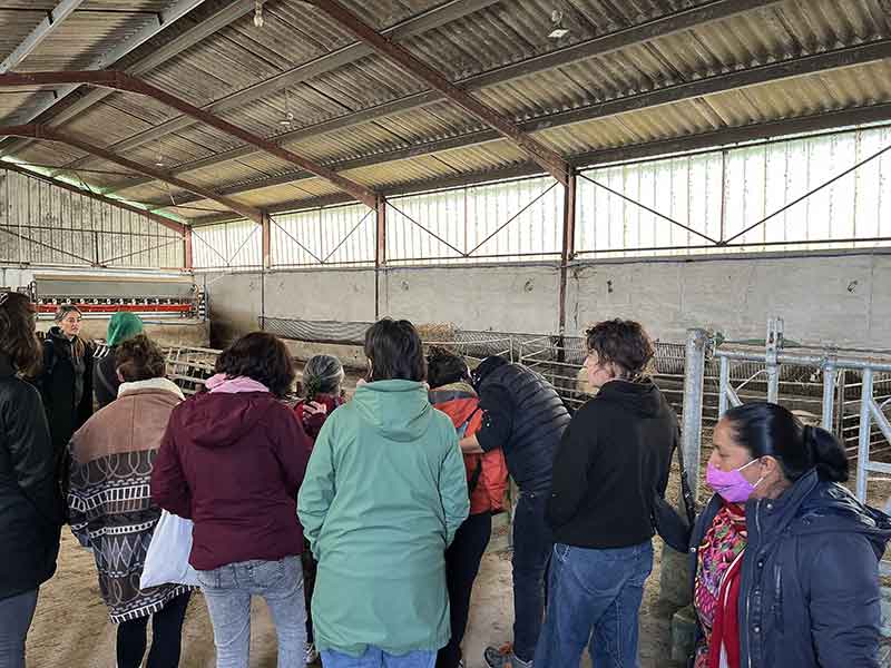 Encuentro mujeres baserritarras soberania alimentaria