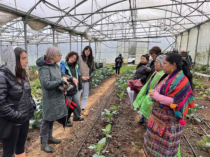 Encuentro mujeres baserritarras soberania alimentaria