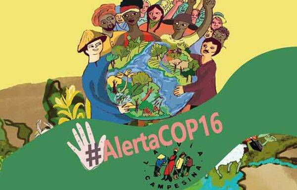 La Vía Campesina - Posicionamiento de La Vía Campesina sobre la Conferencia de las Partes (COP 16) del Convenio de la Diversidad Biológica (CBD) de la ONU