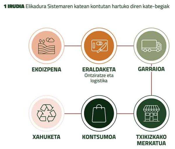 Elikadura Sistemaren katean kontutan hartuko diren kate-begiak