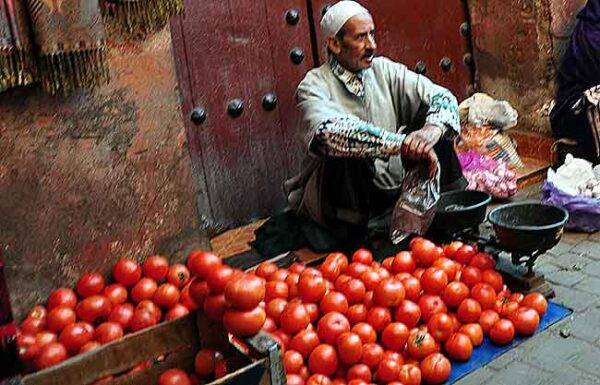 tomate Marruecos